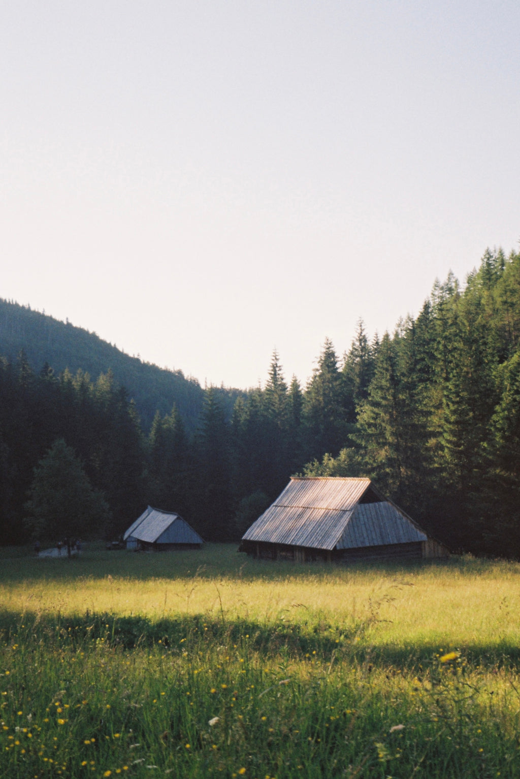 Mountain Cabins