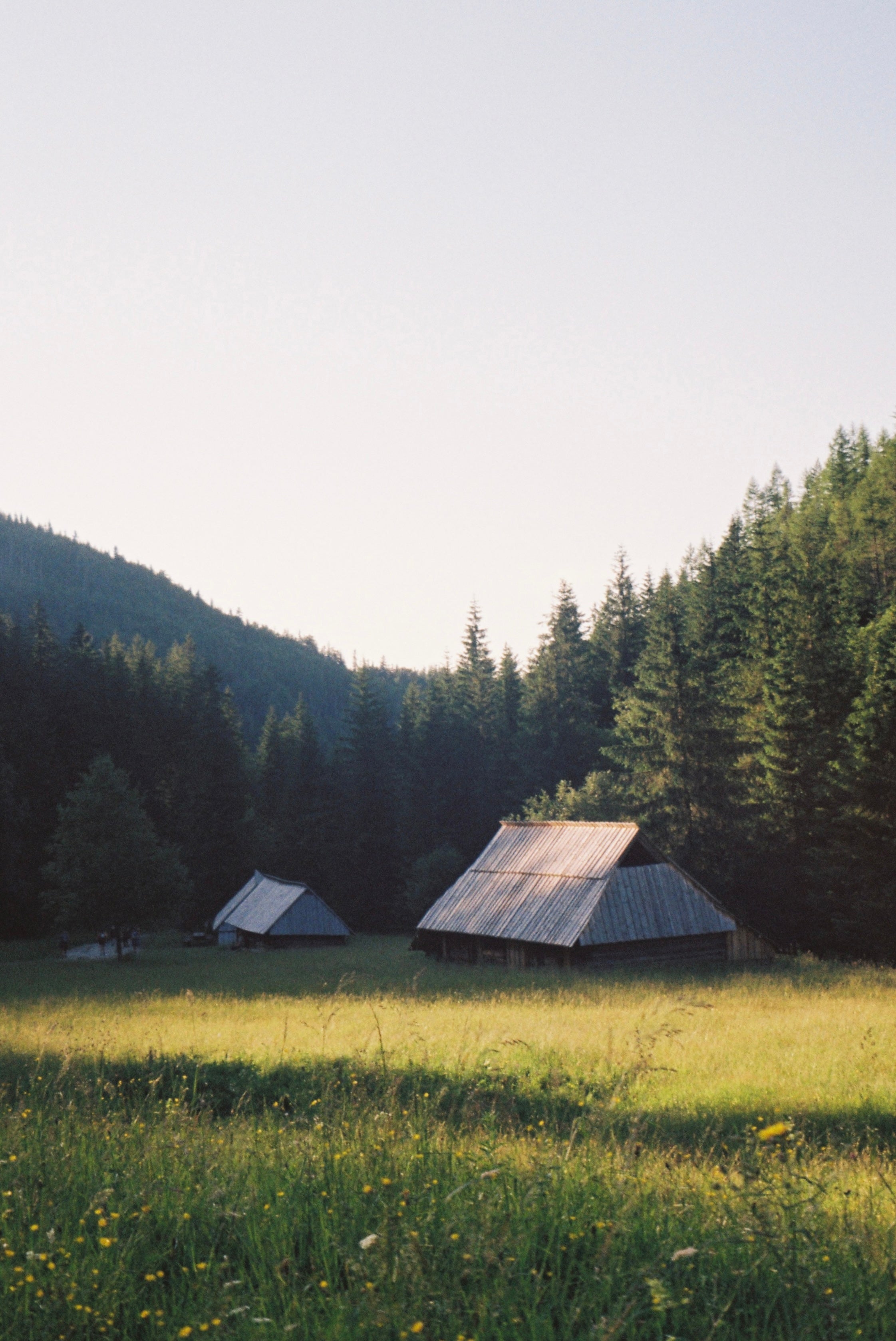Mountain Cabins